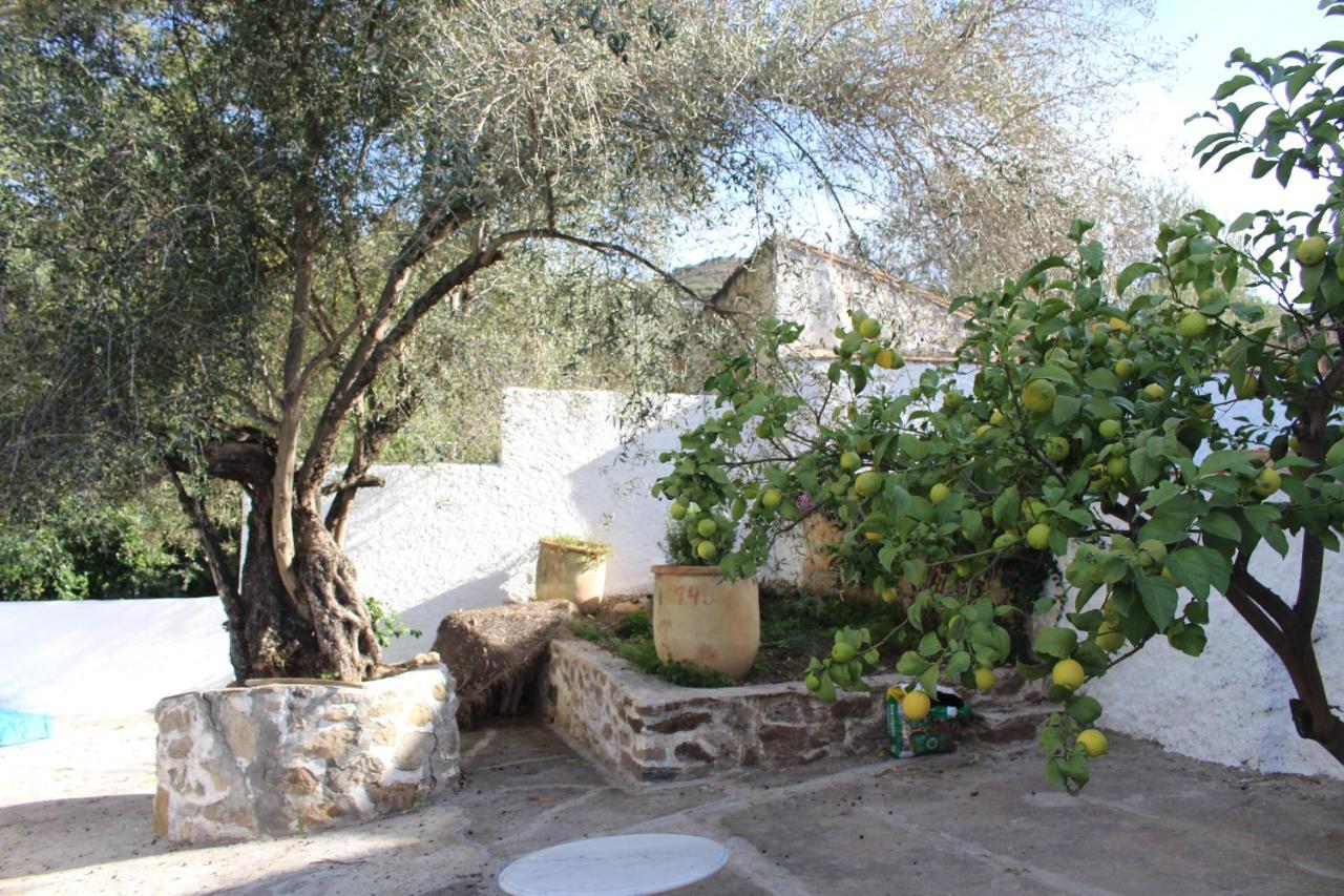 Cortijo El Puente